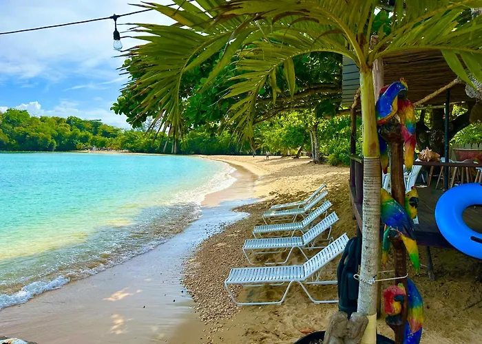 And Tan Hotel Ocho Rios